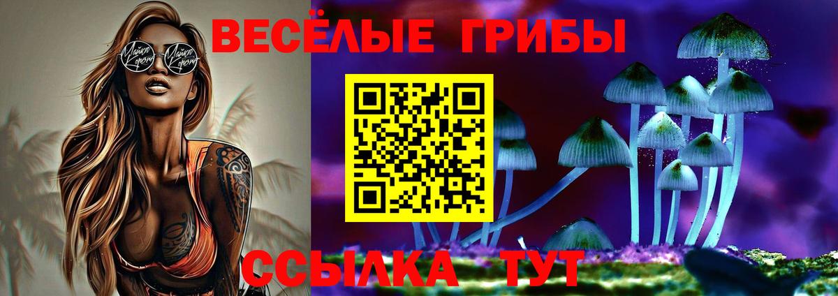 Симферополь  Галлюциногенные грибы Magic Shrooms  Вход с VPN  где найти наркотики  Галлюциногенные грибы мухоморы 